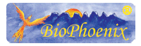 Logo BioPhoenix