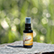 Elixir of the Ascended Masters 30ml